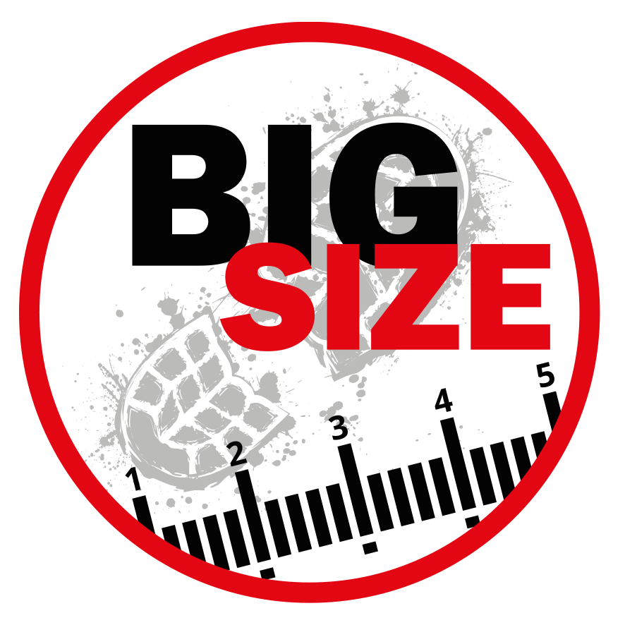 logo_big size